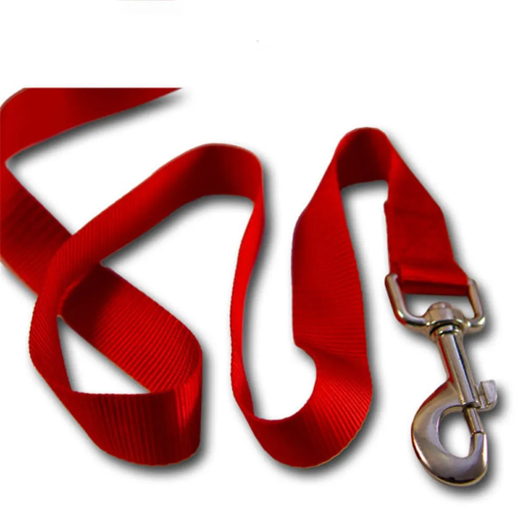 All-in-One Total Retractable Leash