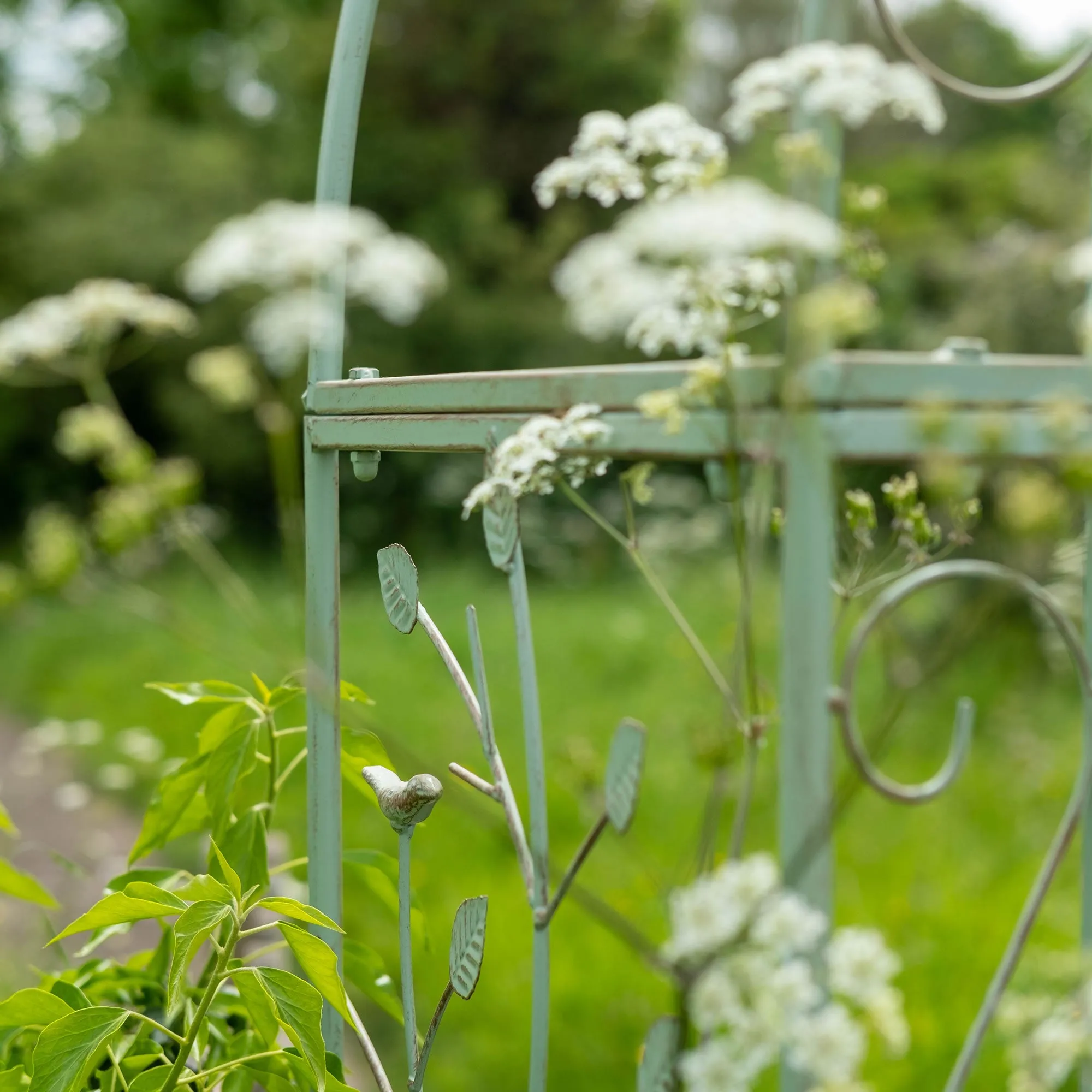 Ascalon Woodland Arch - 'Green'