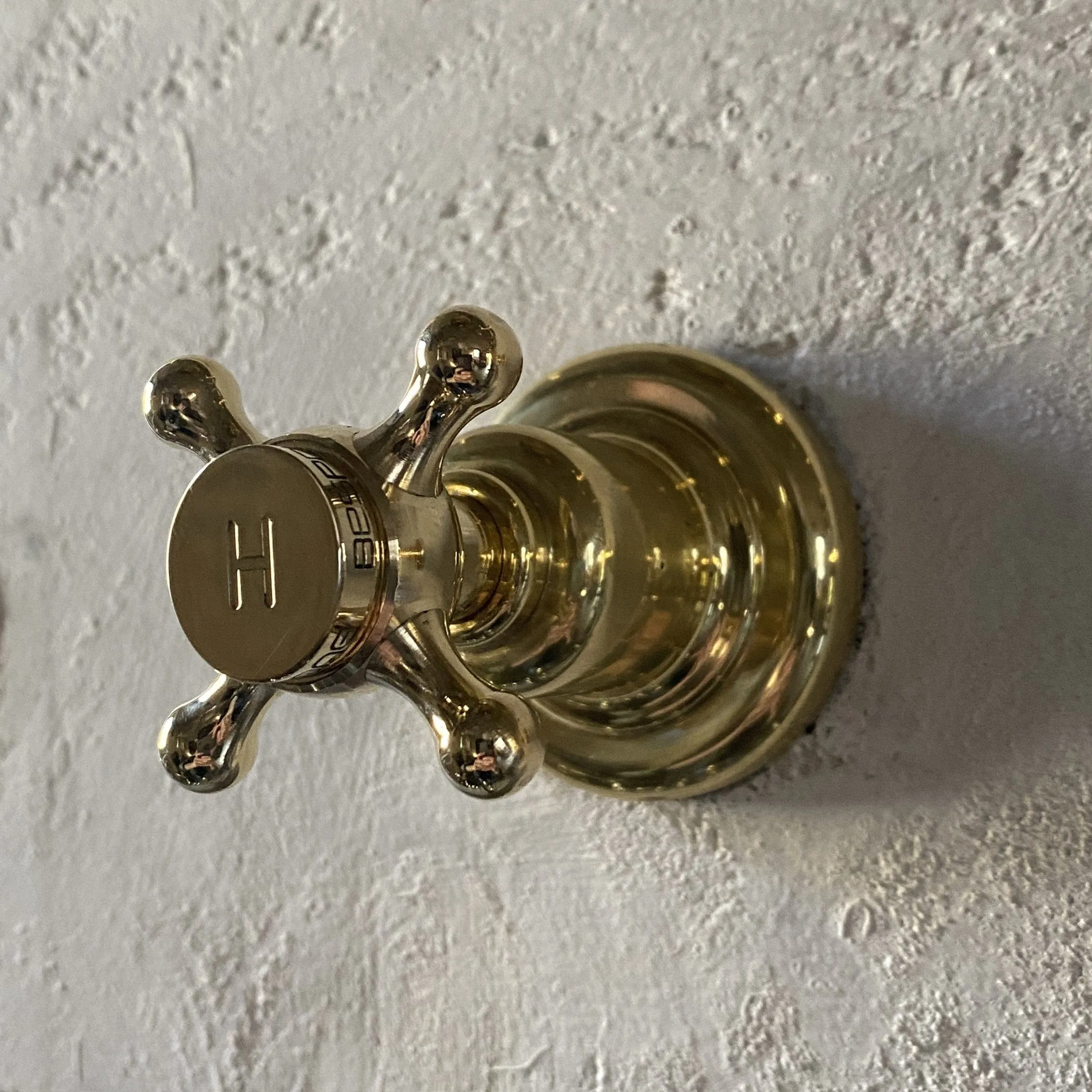BT90 Bear-head wall mounted tap