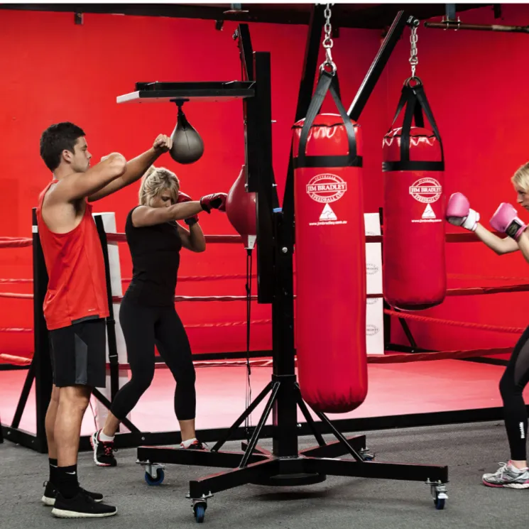 Circuit Tree - 4 way boxing station for Gyms