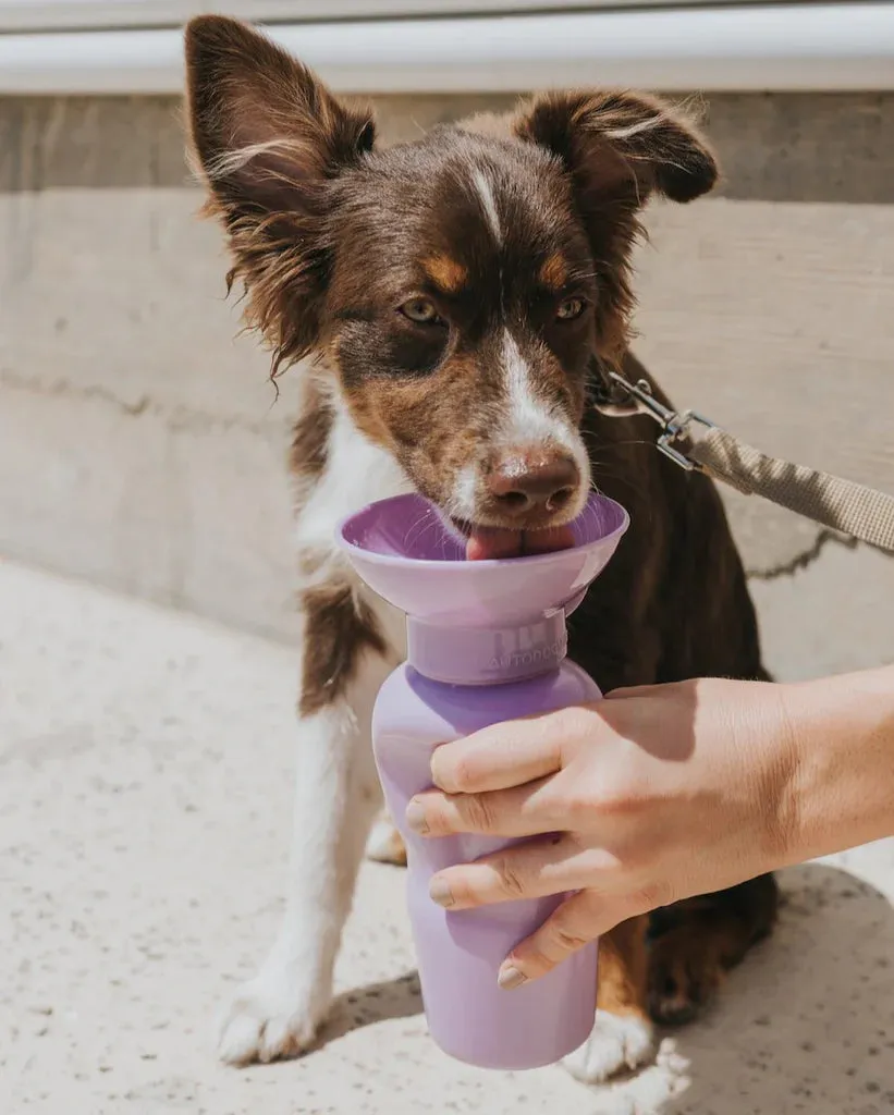 Classic Dog Travel Bottle 22oz - Lilac