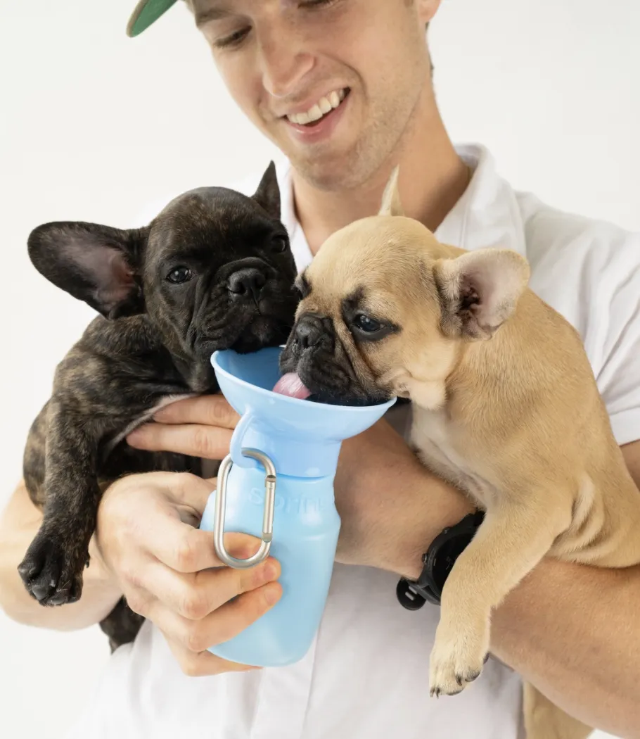 Cotton Candy Pink Travel Mini Dog Water Bottle