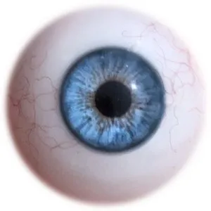 EYE DETAILS: