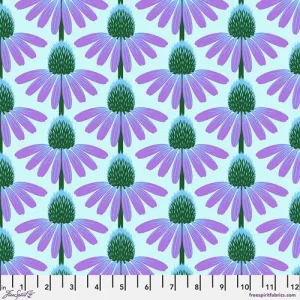 LOVE ALWAYS ECHINACEA GRAPE