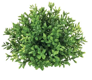 New England Boxwood 1/2 Orb
