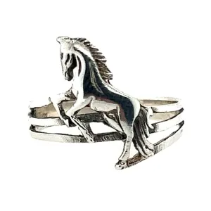 R359 Horse Ring