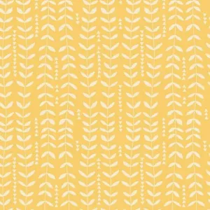 SIRENE KELP SUNSHINE