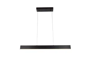 ZC121-5101D36BR - Regency Lighting: Kirra LED light in brown Pendant